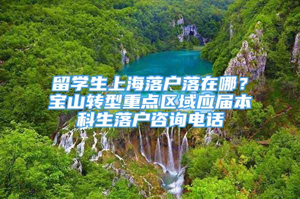 留学生上海落户落在哪？宝山转型重点区域应届本科生落户咨询电话