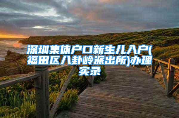 深圳集体户口新生儿入户(福田区八卦岭派出所)办理实录