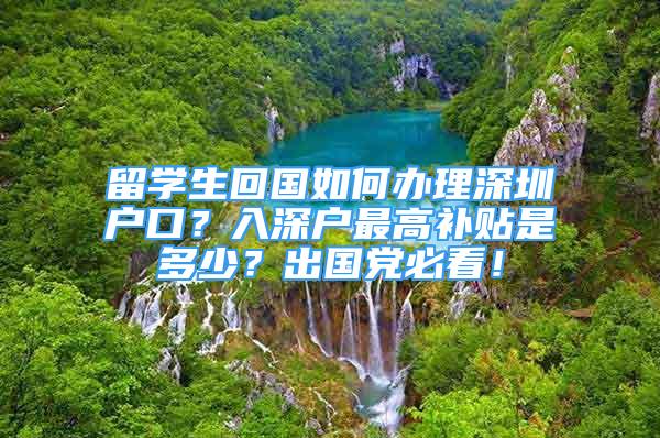 留学生回国如何办理深圳户口？入深户最高补贴是多少？出国党必看！