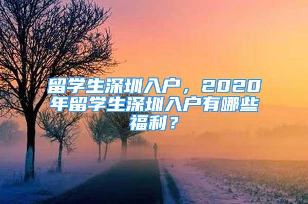 留学生深圳入户，2020年留学生深圳入户有哪些福利？