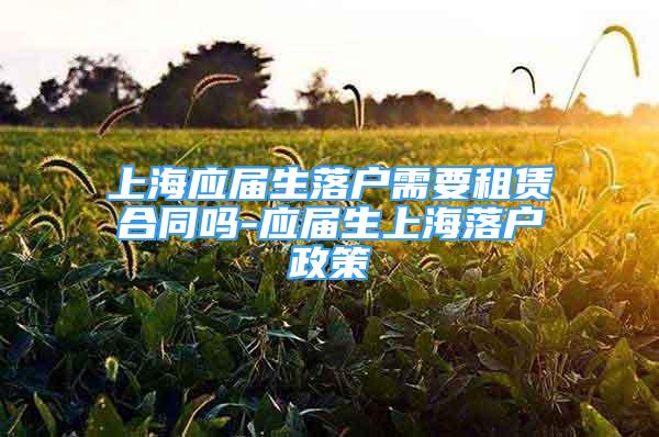 上海应届生落户需要租赁合同吗-应届生上海落户政策