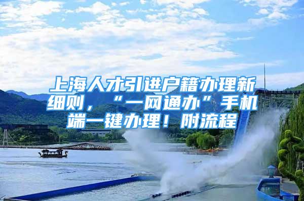 上海人才引进户籍办理新细则，“一网通办”手机端一键办理！附流程