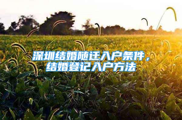 深圳结婚随迁入户条件，结婚登记入户方法