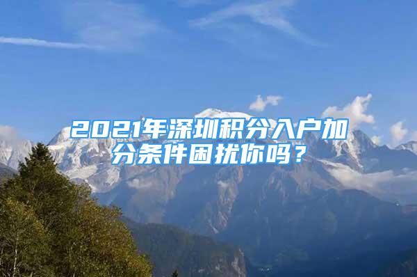 2021年深圳积分入户加分条件困扰你吗？