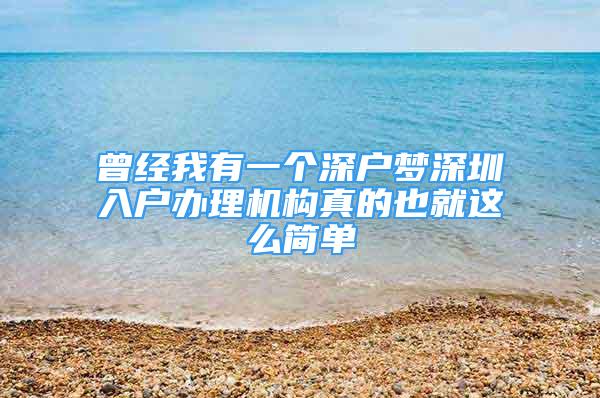 曾经我有一个深户梦深圳入户办理机构真的也就这么简单