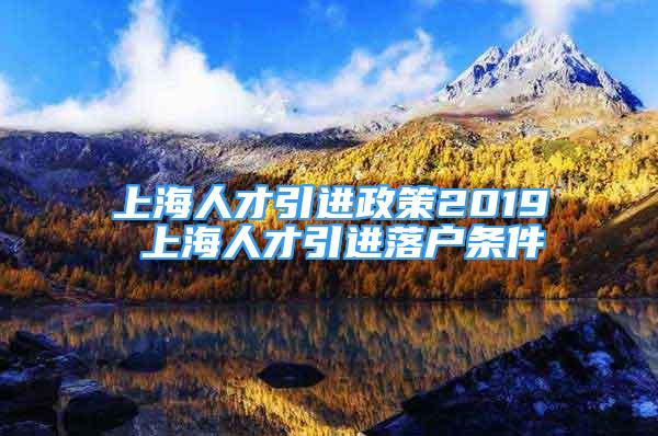 上海人才引进政策2019 上海人才引进落户条件