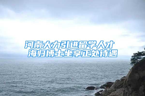 河南大力引进留学人才 海归博士坐享正处待遇