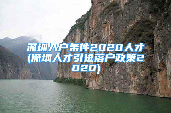 深圳入户条件2020人才(深圳人才引进落户政策2020)