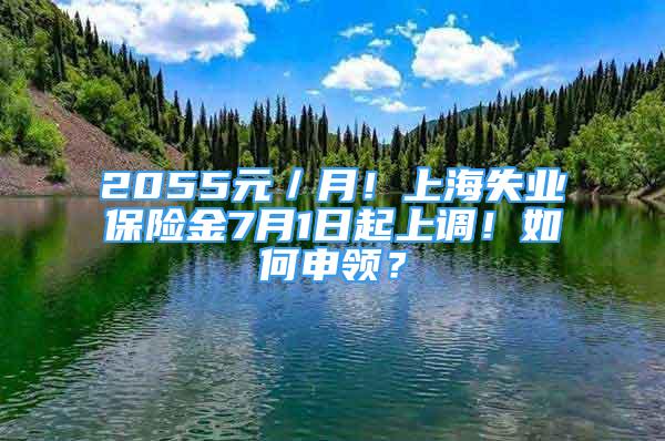 2055元／月！上海失业保险金7月1日起上调！如何申领？