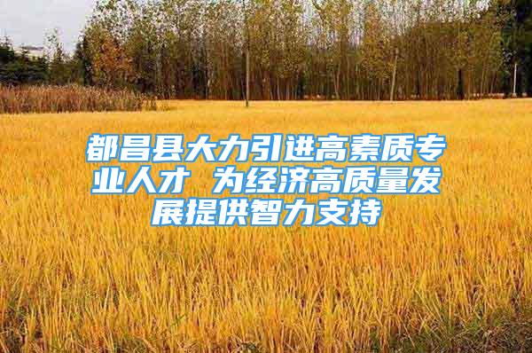 都昌县大力引进高素质专业人才 为经济高质量发展提供智力支持