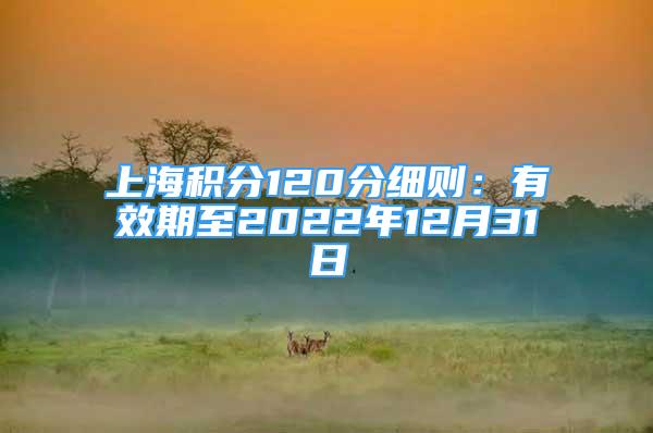 上海积分120分细则：有效期至2022年12月31日