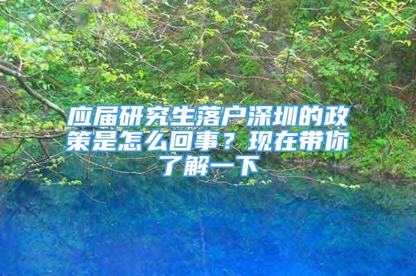 应届研究生落户深圳的政策是怎么回事？现在带你了解一下