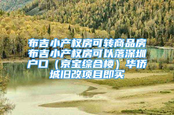 布吉小产权房可转商品房布吉小产权房可以落深圳户口（京宝综合楼）华侨城旧改项目即买