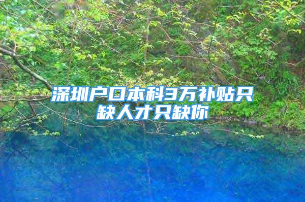 深圳户口本科3万补贴只缺人才只缺你