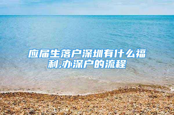 应届生落户深圳有什么福利,办深户的流程