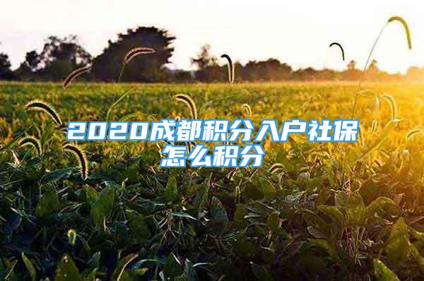 2020成都积分入户社保怎么积分