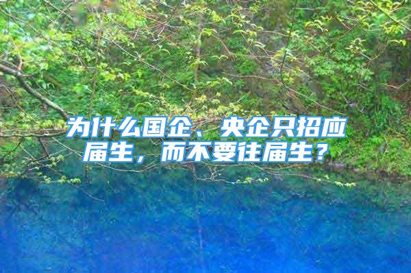 为什么国企、央企只招应届生，而不要往届生？