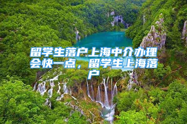 留学生落户上海中介办理会快一点，留学生上海落户