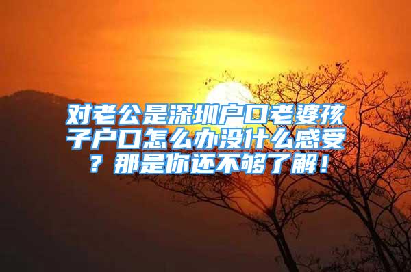 对老公是深圳户口老婆孩子户口怎么办没什么感受？那是你还不够了解！