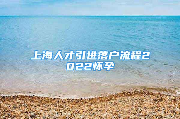 上海人才引进落户流程2022怀孕