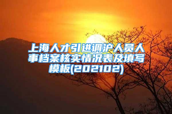 上海人才引进调沪人员人事档案核实情况表及填写模板(202102)