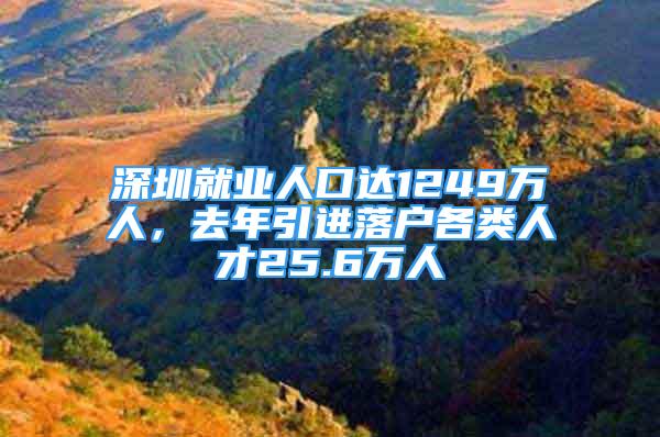 深圳就业人口达1249万人，去年引进落户各类人才25.6万人