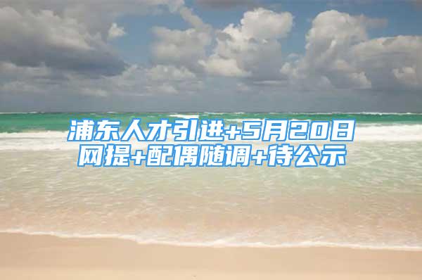 浦东人才引进+5月20日网提+配偶随调+待公示