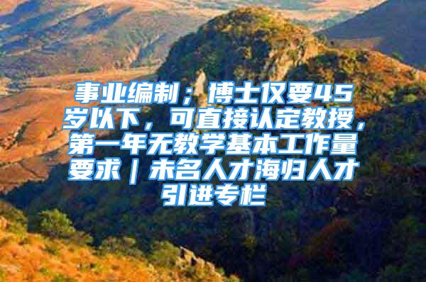 事业编制；博士仅要45岁以下，可直接认定教授，第一年无教学基本工作量要求｜未名人才海归人才引进专栏