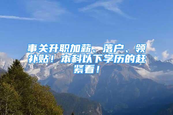 事关升职加薪、落户、领补贴！本科以下学历的赶紧看！