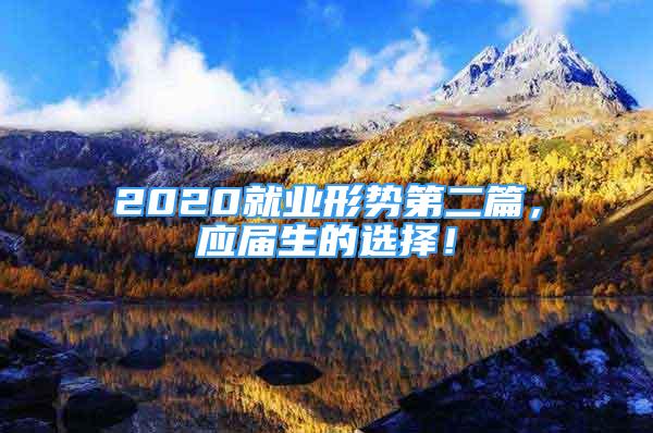 2020就业形势第二篇，应届生的选择！