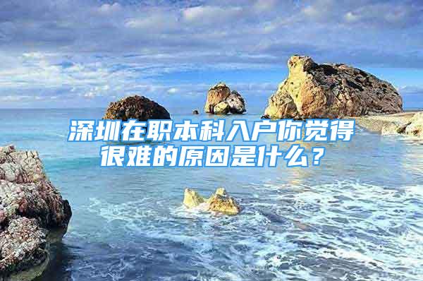 深圳在职本科入户你觉得很难的原因是什么？