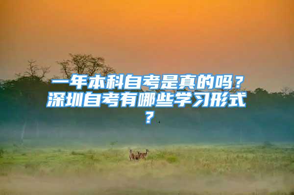 一年本科自考是真的吗？深圳自考有哪些学习形式？