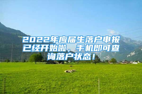 2022年应届生落户申报已经开始啦，手机即可查询落户状态！