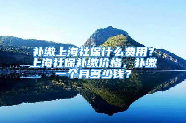 补缴上海社保什么费用？上海社保补缴价格，补缴一个月多少钱？