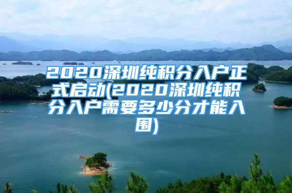 2020深圳纯积分入户正式启动(2020深圳纯积分入户需要多少分才能入围)