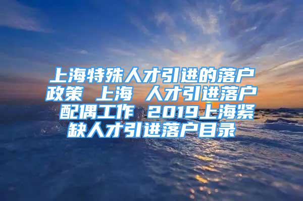 上海特殊人才引进的落户政策 上海 人才引进落户 配偶工作 2019上海紧缺人才引进落户目录