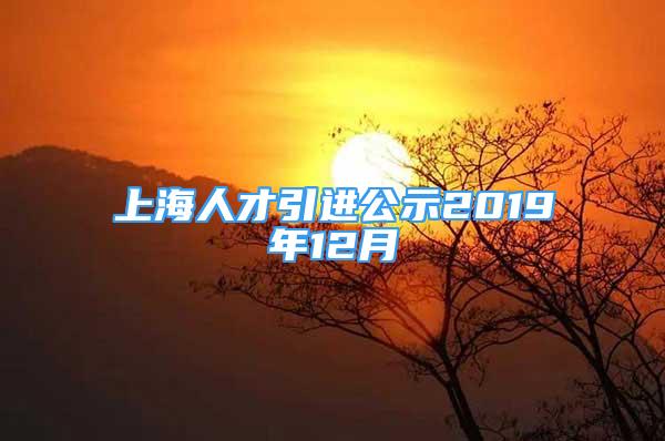 上海人才引进公示2019年12月