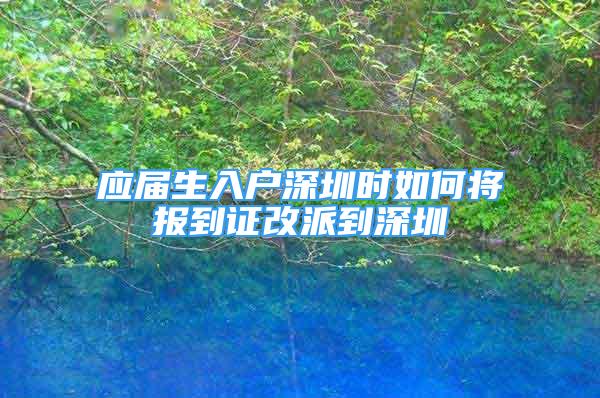 应届生入户深圳时如何将报到证改派到深圳