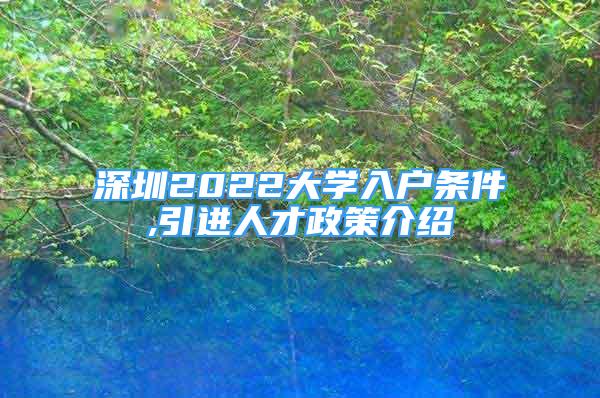 深圳2022大学入户条件,引进人才政策介绍