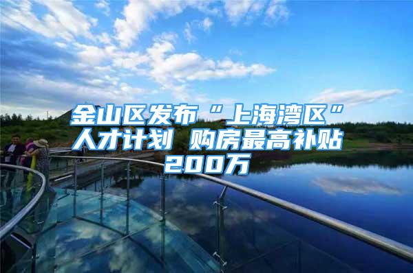 金山区发布“上海湾区”人才计划 购房最高补贴200万