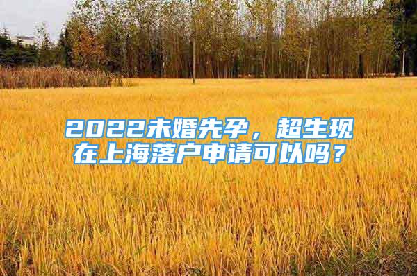 2022未婚先孕，超生现在上海落户申请可以吗？