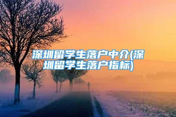 深圳留学生落户中介(深圳留学生落户指标)