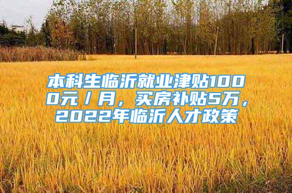 本科生临沂就业津贴1000元／月，买房补贴5万，2022年临沂人才政策