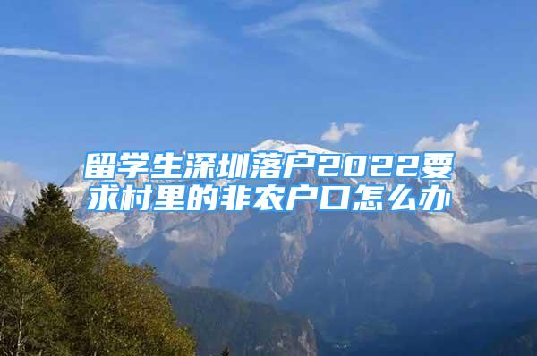 留学生深圳落户2022要求村里的非农户口怎么办