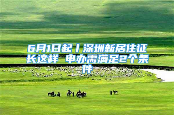 6月1日起丨深圳新居住证长这样 申办需满足2个条件