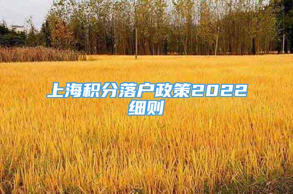 上海积分落户政策2022细则