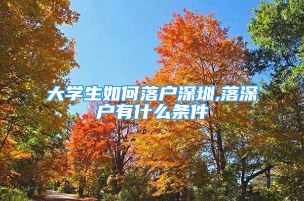 大学生如何落户深圳,落深户有什么条件