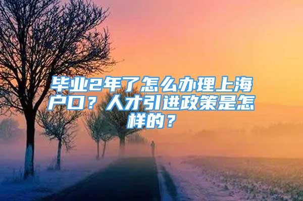 毕业2年了怎么办理上海户口？人才引进政策是怎样的？