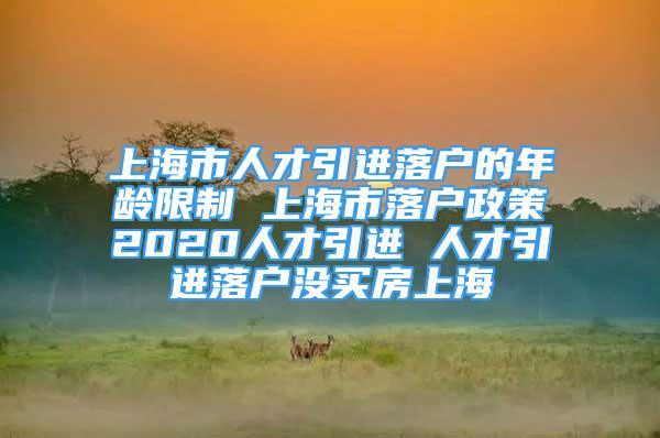 上海市人才引进落户的年龄限制 上海市落户政策2020人才引进 人才引进落户没买房上海