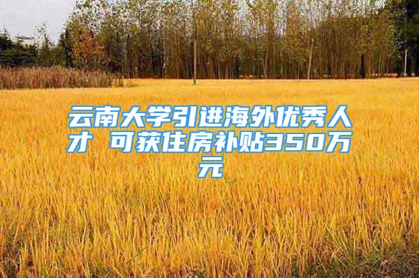 云南大学引进海外优秀人才 可获住房补贴350万元